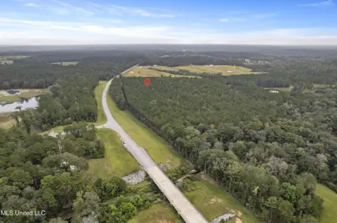Richton, MS Wooded Acreage