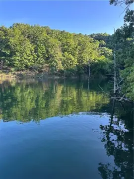 Beaver Lake Waterfront Acreage