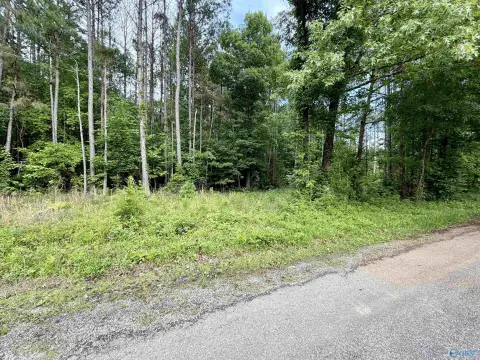 Land in Leesburg, Alabama