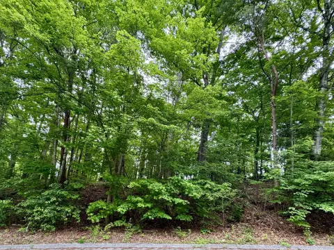 Residential Lot in Soddy Daisy
