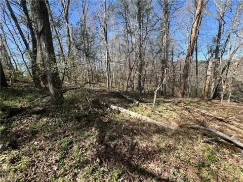 Land with Development Potential
