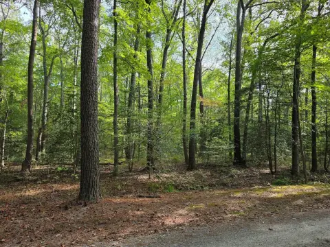 Lancaster Land with Creek Access