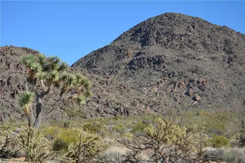 Land Parcel in Yucca, AZ
