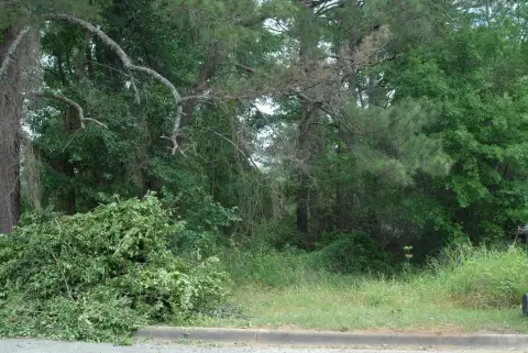 Residential Land in Dothan, AL