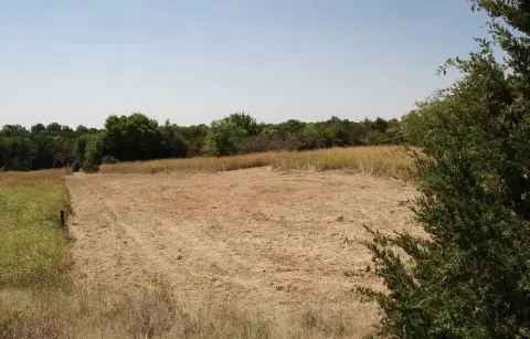 Wooded Hunting Land