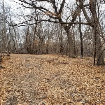 Eagan Wooded Lot Opportunity
