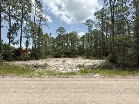 Partially Cleared Residential Land