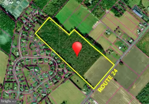 35.96 Acres in Millsboro, DE