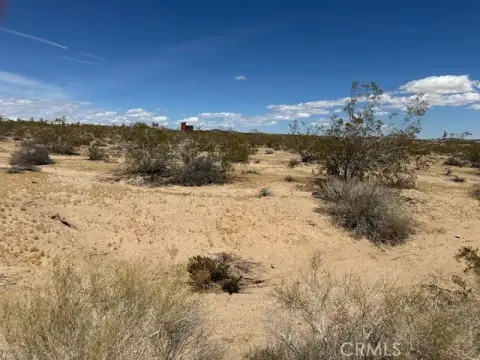 Joshua Tree Land Parcel