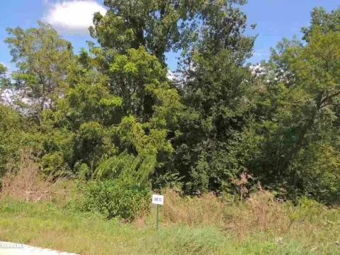 Wooded Lot in Galena Meadows