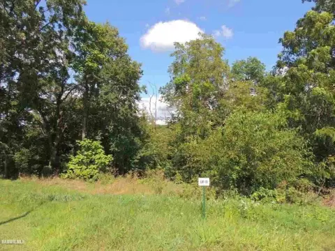 Wooded Lot in Galena Meadows