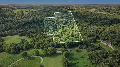 Wooded Hunting Land