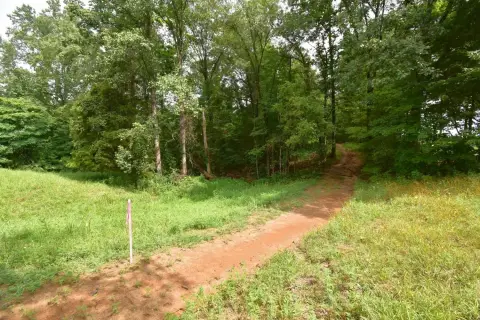 Agricultural Land with Mature Trees