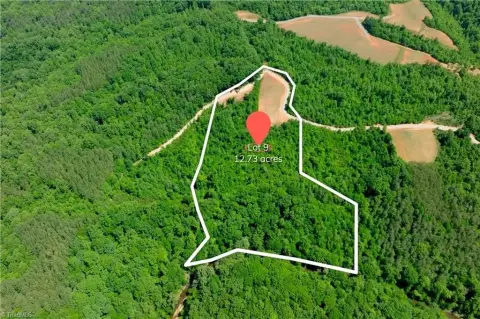 Riverfront Land in Pinnacle, NC