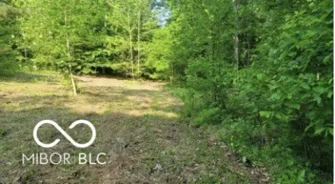 Wooded Residential Lots in Coal