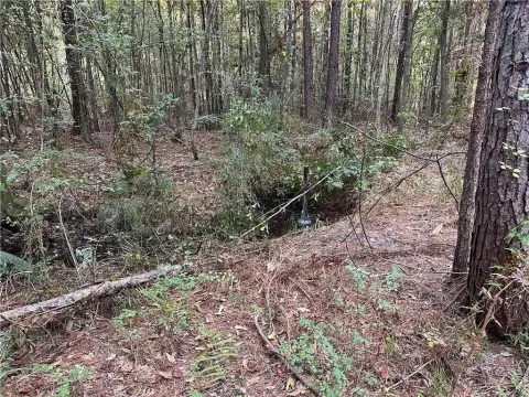 Cleared Land Ideal Homestead