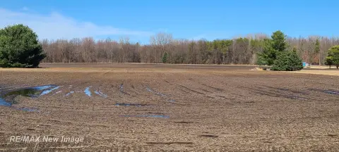 Residential Land in Chesaning, MI