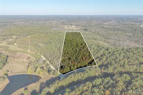 Wooded Hunting Land