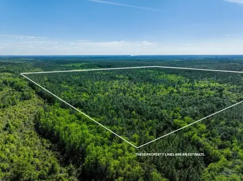 Versatile Recreational Tract with Hunting