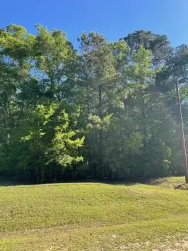 Dothan Residential Land For Sale