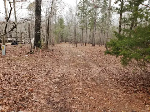 Waterfront Land in Lincolnton, GA