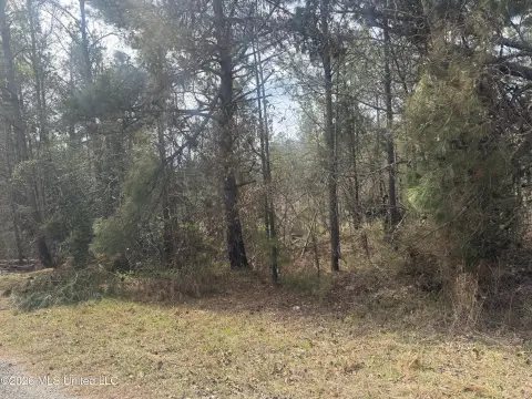 Unrestricted Land in Waterford, MS