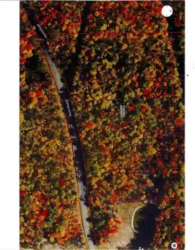 Wooded Recreational Land Parcel