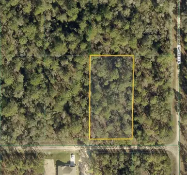 1.12 Acre Wooded Lot