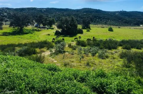 Horse Facility Acreage With Orchard