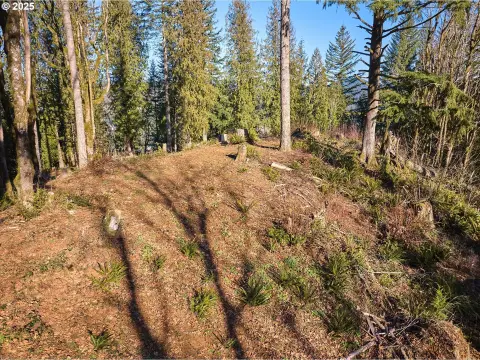Washougal Land with Serene Acres