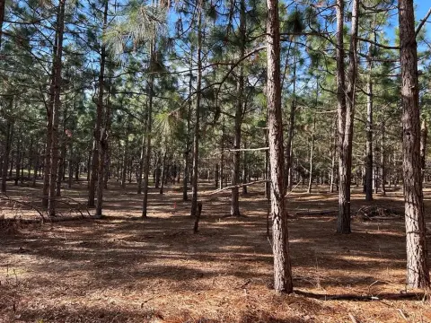 Residential Land Near Headland, AL