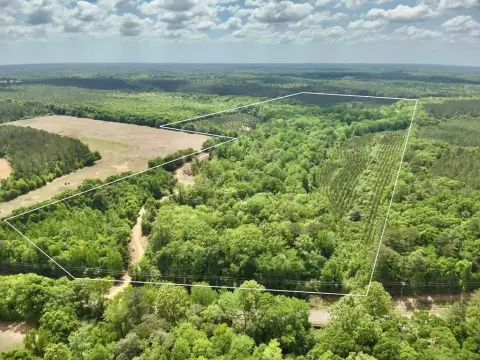 South Alabama Hunting Land