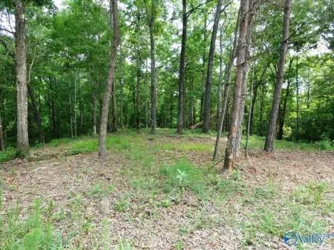 Jasper, AL Land For Sale