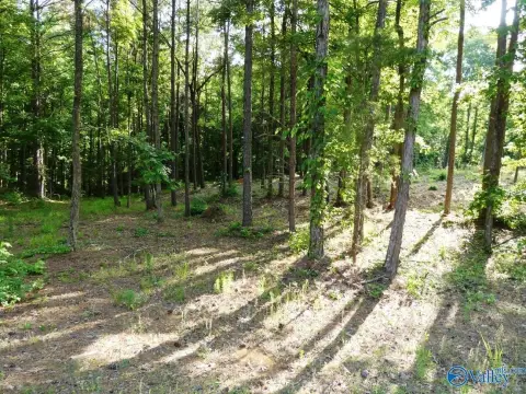 Jasper, AL Off-Water Lot