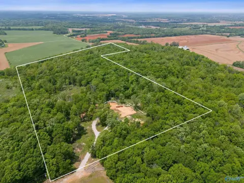 Land in New Market, AL