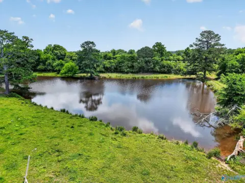 Horton, AL Land with Pasture