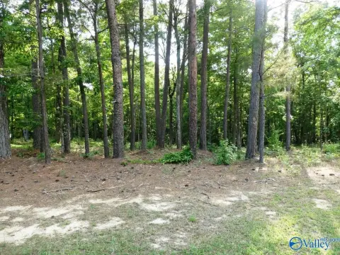 Residential Lot Near Lewis Smith