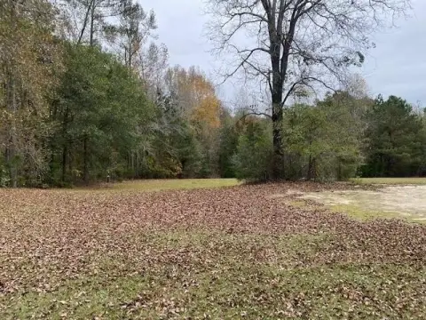 Appling, GA Acreage for Custom Home