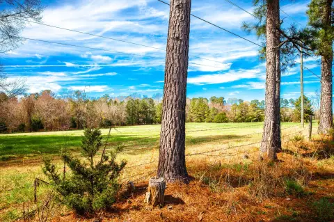 Estate Land Lot with Pasture