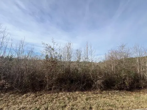Residential Lot in Peaceful Country
