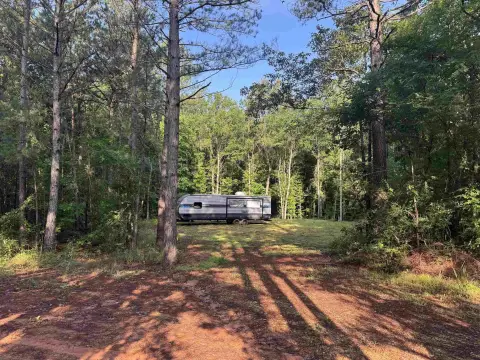 Residential Land in Hallsville ISD