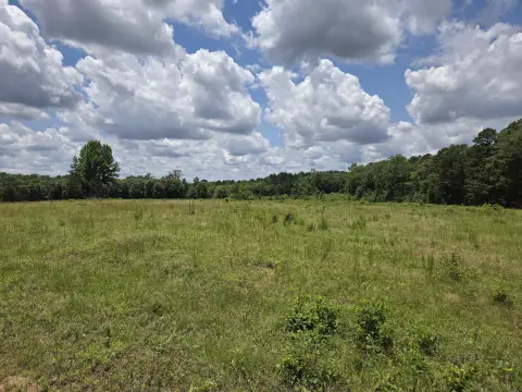 35.49 Acres in Gilmer, TX