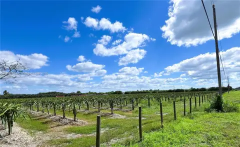Prime Agricultural Land on Corner