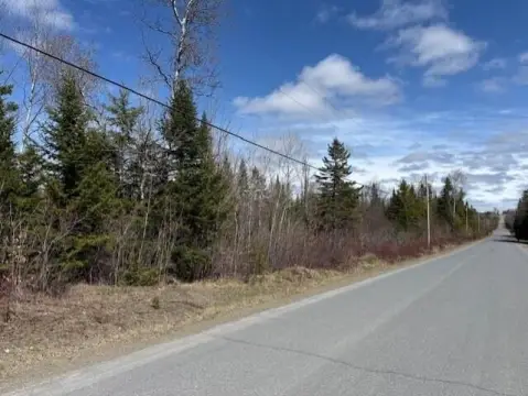 Wooded Acreage in Castle Hill