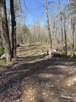 Augusta Wooded Land Parcel