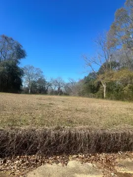 Residential Land in Greenville, AL