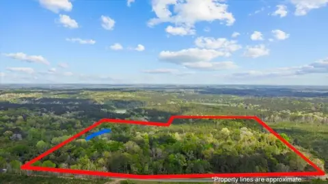 59 Acres Land in Ozark