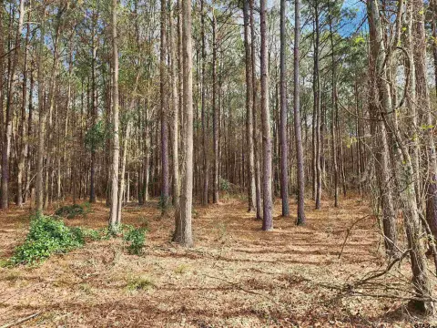 Two Acre Wooded Homesite