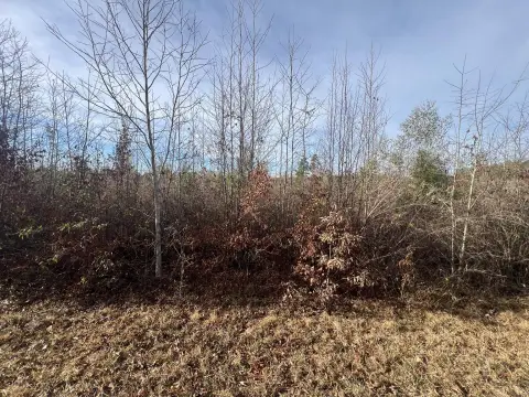 Residential Lot in Peaceful Country