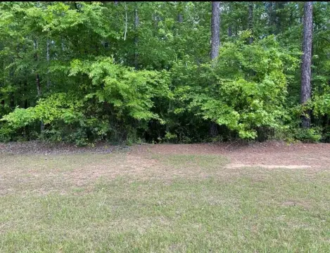 Golf Course View Homesite